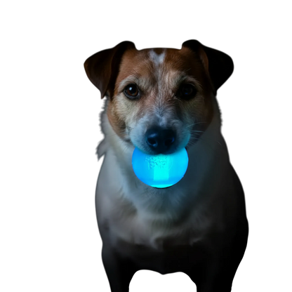 Strobe Ball Light-Up Dog Toy - Durable Floating Chew Ball